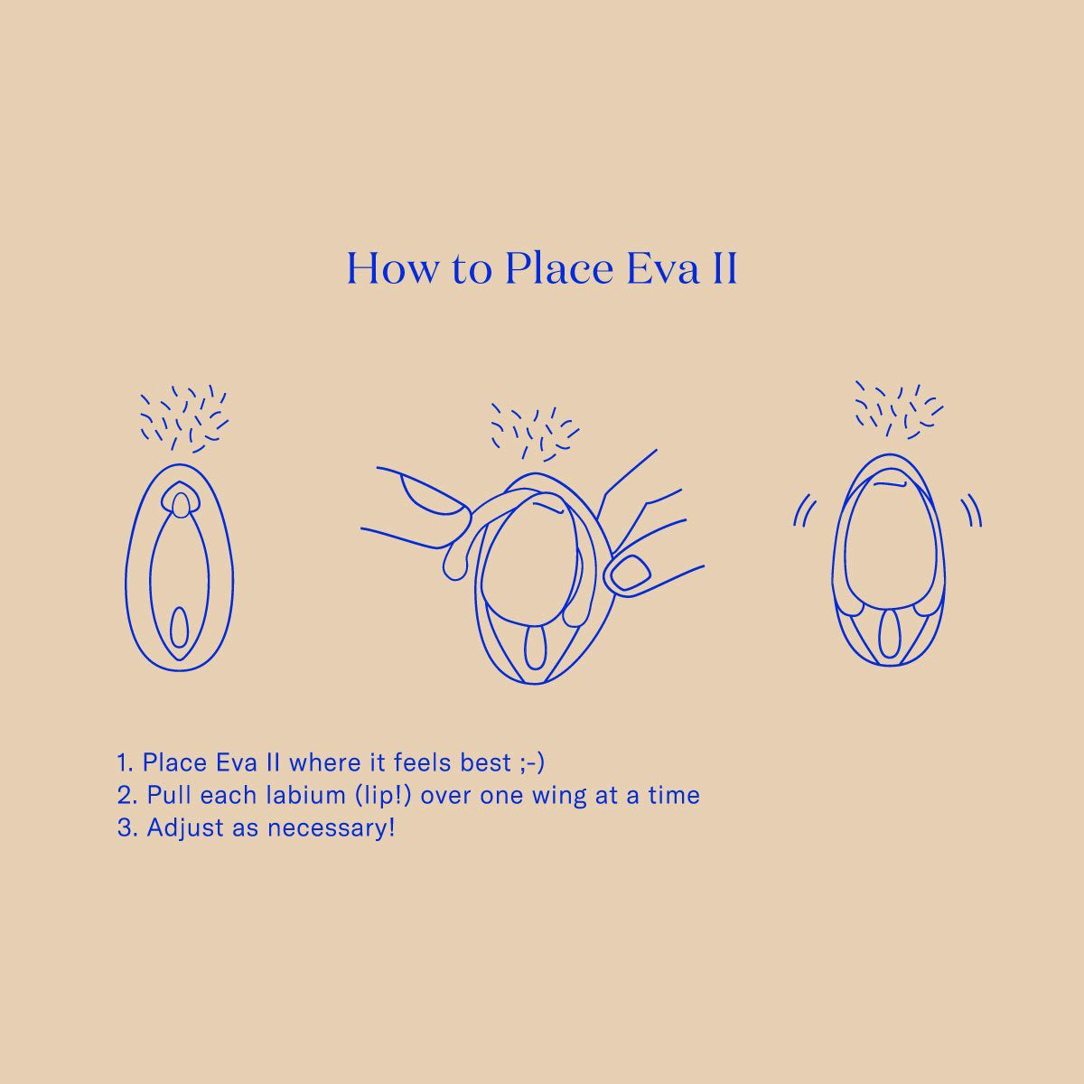 How to use Eva hands free vibrator